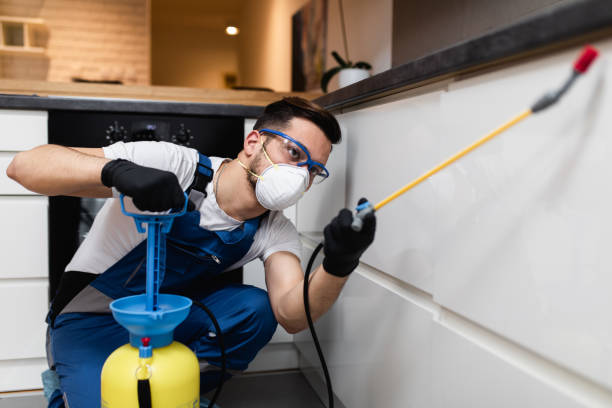 Best Best Pest Control Companies  in Dilley, TX