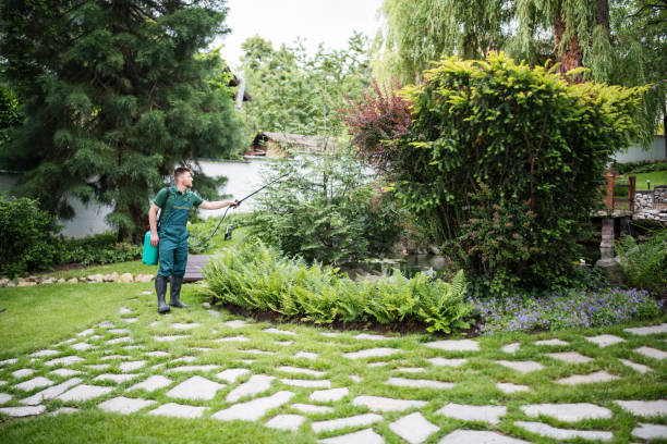 Best Wasp Removal Services  in Dilley, TX