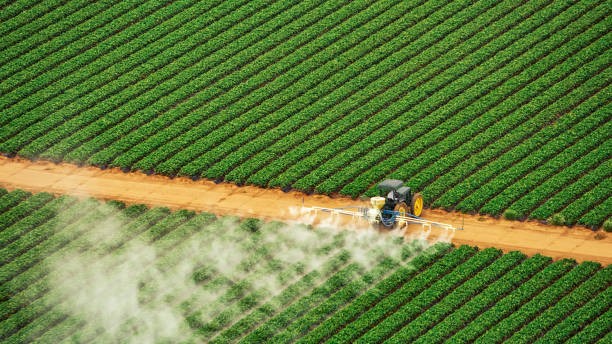 Reliable Dilley, TX Pest Control Solutions