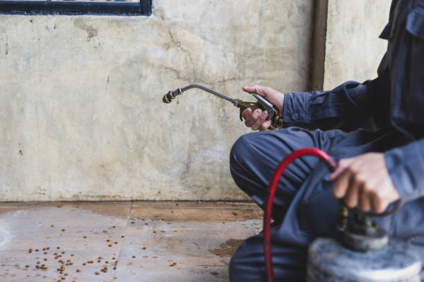 Best Affordable Pest Control Services  in Dilley, TX